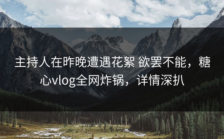 主持人在昨晚遭遇花絮 欲罢不能,糖心vlog全网炸锅,详情深扒
