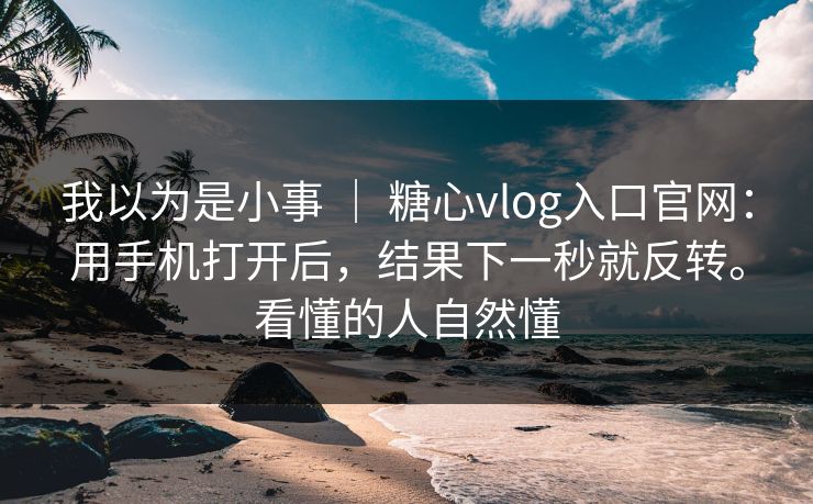 我以为是小事 ｜ 糖心vlog入口官网：用手机打开后，结果下一秒就反转。看懂的人自然懂