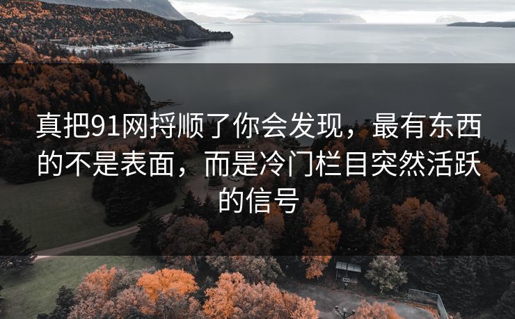 真把91网捋顺了你会发现，最有东西的不是表面，而是冷门栏目突然活跃的信号